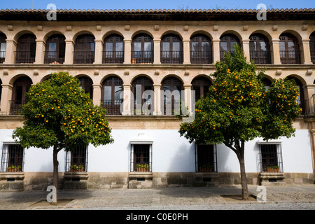 Ayuntamiento / Ronda Town Hall / City Hall; in Plaza de la Duquesa de Parcent square. Ronda. Malaga, Spain. Stock Photo