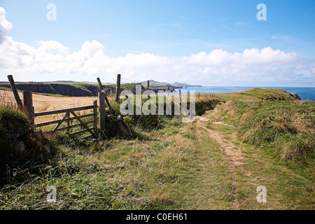 A stretch of the Pembrokeshire coastal path between St Davids and Solva, West Wales. Stock Photo