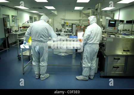 Scientists working in laboratory Stock Photo