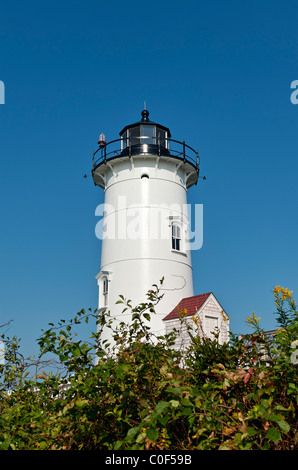 Nobska Point Light, Woods Hole, Cape Cod, MA, Massachusetts, USA Stock Photo