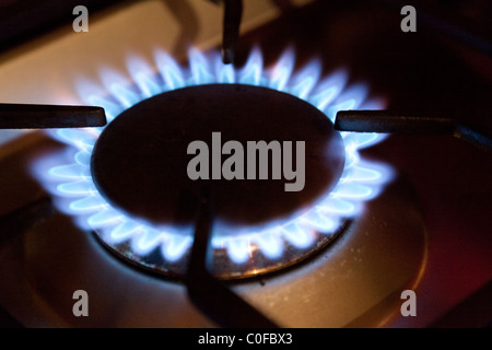Gas ring on stove hob Stock Photo