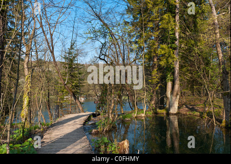 Boardwalk over lake in forest of Plitvice lakes national park, Croatia. Popular touristic destination. Spring time. Stock Photo