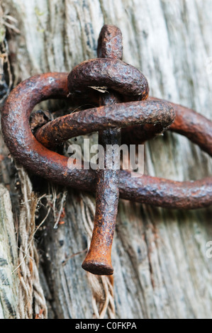 Old rusted metal bolt Stock Photo