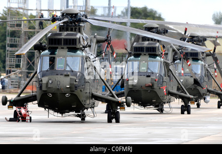 Sea King helicopters, Royal Navy Sea King helicopter Stock Photo