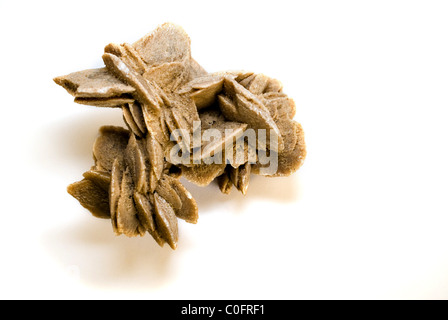 The photography of crystal Saharan desert rose on white background taken on 2011. Stock Photo