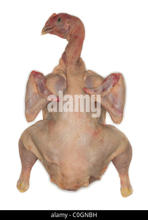 Head of a dead and plucked chicken ready to be cooked cutout Stock Photo