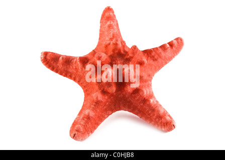starfish is isolated on a white background Stock Photo