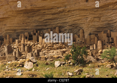 Tellem houses in the cliffs above the village of Ireli. Pays Dogon, Mali Stock Photo