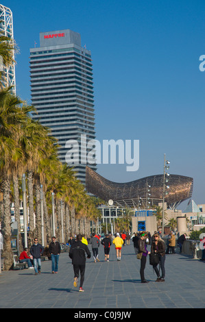 Passeig Maritim de la Barceloneta seaside promenade Barcelona Catalunya Spain Europe Stock Photo