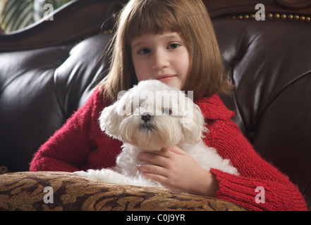 baby maltese girl