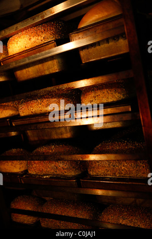 bread cooking in the oven in the college bakery, Birmingham college for further and higher education. Stock Photo
