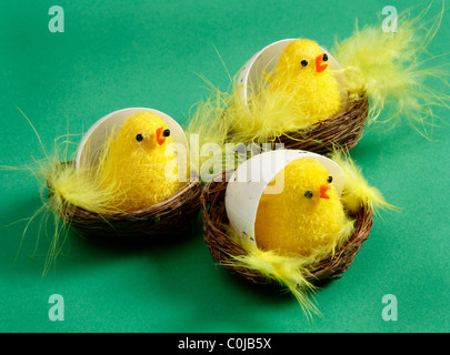 Three cute Easter Chicks in their Egg Shells Stock Photo