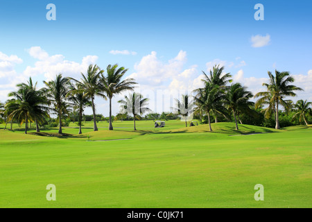 golf course tropical palm trees in Mexico Stock Photo