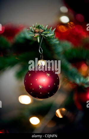 A red bauble hanging on a Christmas tree Stock Photo