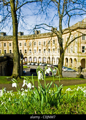 Flowering Snowdrops in front of The Crescent. A Georgian style building in Buxton, Derbyshire, England. Stock Photo