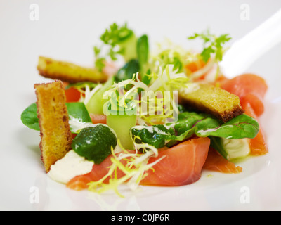 Beautiful lunch dish with smoked salmon close up. Stock Photo