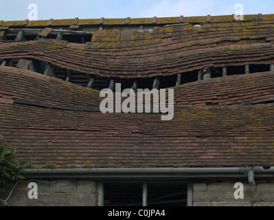 Old Barn tiled roof collapsing. In need of repair.  Circa about 1900. Small brown tiles. Walls of Purbeck stone. Stock Photo