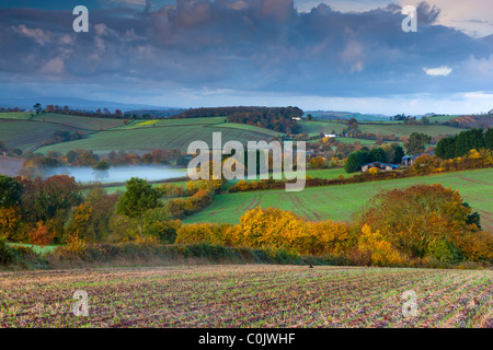 Patchwork fields in countryside near Shobrooke, Devon, England, United Kingdom, Europe Stock Photo