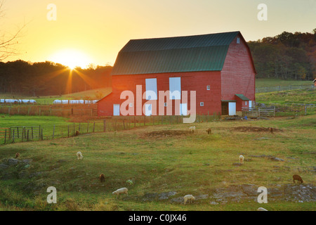 Farm in Middlebrook, Shenandoah Valley, Virginia, USA Stock Photo