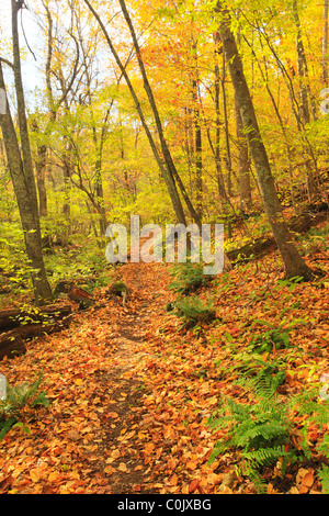 Jarman Gap, Appalachian Trail, Shenandoah National Park, Virginia, USA Stock Photo