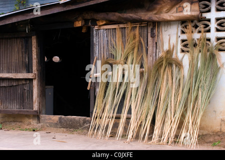 Many hand made brooms are for sale and displayed leaning against a workshop wall on a city street in Mae Sai, Thailand. Stock Photo