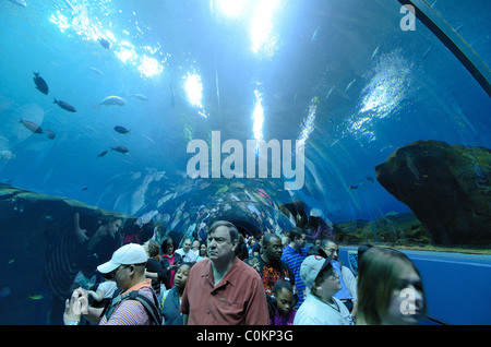 The Georgia Aquarium, the world's largest aquarium, in Atlanta, Georgia. February 20, 2011. Stock Photo