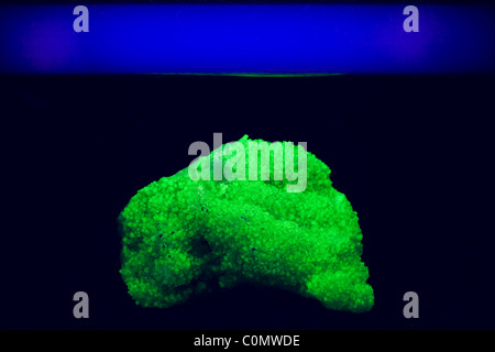 Adamite Rock Fluorescing Under Ultraviolet Light Bulb - Fluorescence Stock Photo