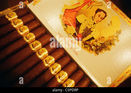 Havana. Cuba. Box of Bolivar Cuban cigars, Casa de Tobacco in the Hostal Conde de Villanueva aka Hostal del Habano. Stock Photo