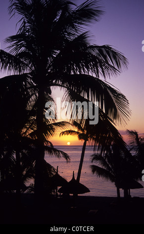 Sunset over the beach, through the palm trees, Les Pavillons hotel, Mauritius. Le Morne Peninsular. Stock Photo