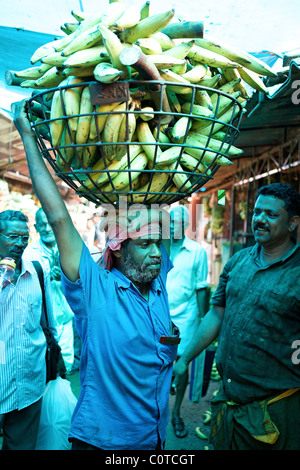 Market porter in Fort Cochin market, Kerala, India Stock Photo