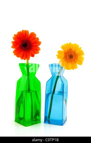 Colorful Gerber flowers in modern vases isolated on white background Stock Photo