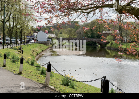 A View of the River Eden and the town bridge at Appleby Cumbria England Stock Photo