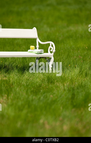 Spring and summer - White romantic bench in meadow on sunny day Stock Photo