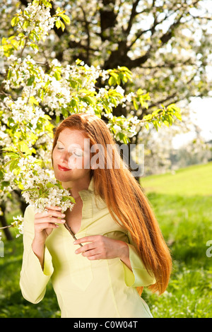 Young woman smelling blooming cherry tree on a sunny day Stock Photo