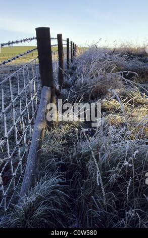 Hoar frost covered wooden barbed wire fence post Oxfordshire England ...