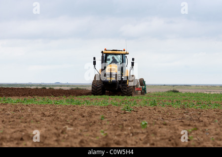 Cat Challenger tractor, ploughing, Bawdsey, Suffolk, UK. Stock Photo