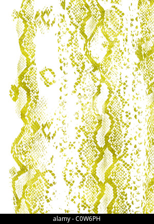 Python Pattern Stock Photo