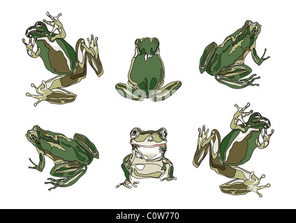 Pattern of Japanese Painting, Japanese Tree Frog Stock Photo