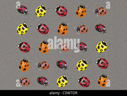 Pattern of Japanese Painting, Ladybird Stock Photo