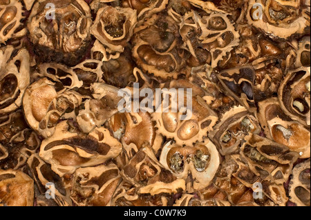 Pile of Walnut Shells Detail Stock Photo