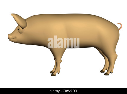 pig illustration Stock Photo