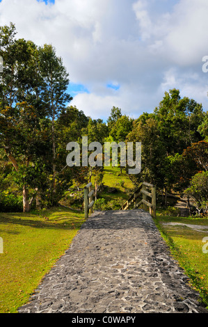 Foot path between the parking lot and viewpoint at Alexandra Falls, Black River Gorges National Park, Black River, Mauritius. Stock Photo