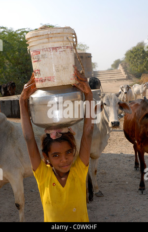 Young girl fetching water on her head in bucket and jug from village well in Rajasthani desert surrounded by cows Stock Photo