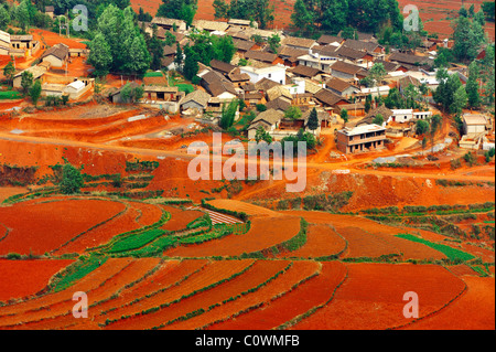 Village on the red field in Dongchuan district, Kunming city, Yunnan province, China Stock Photo