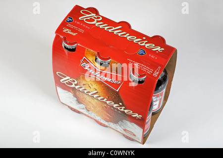 6-pack Budweiser beer Stock Photo