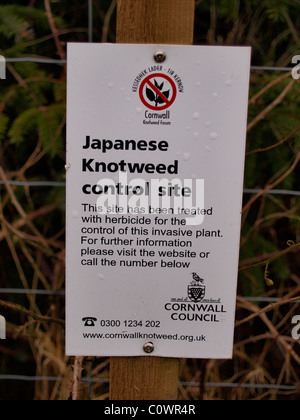 Japanese Knotweed control site sign, Cornwall, UK Stock Photo