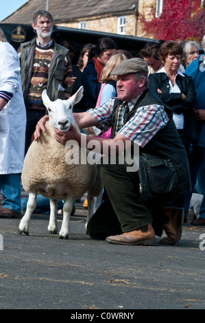 View of Masham Sheep Fair Stock Photo