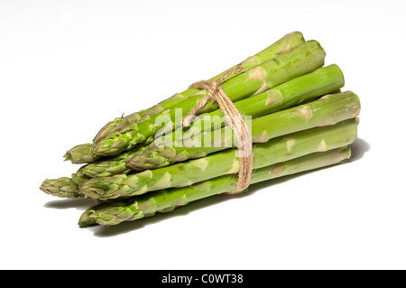 asparagus bunch Stock Photo