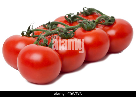 eight fresh vine ripened red tomatoes on the vine isolated against a white background Stock Photo