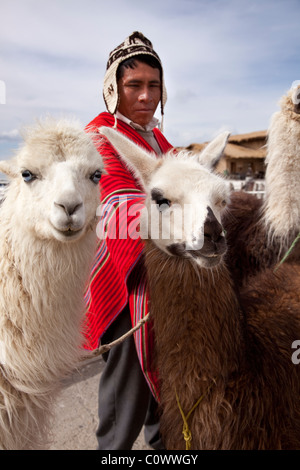 Bolivian man in traditional costume with 2 Llamas, Lake Titicaca, Bolivia, South America. Stock Photo